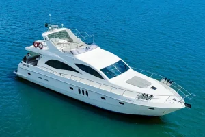 Copy-of-DJI_20240813124501_0790_Dnnnnvvvv-e1724136094111-1024x841